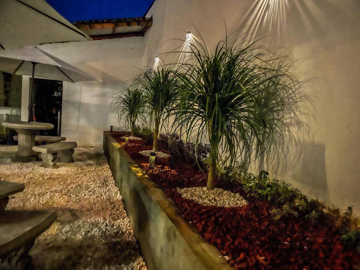 Zeus Guesthouse -Free Sjo Airport Shuttle La Garita Kültér fotó